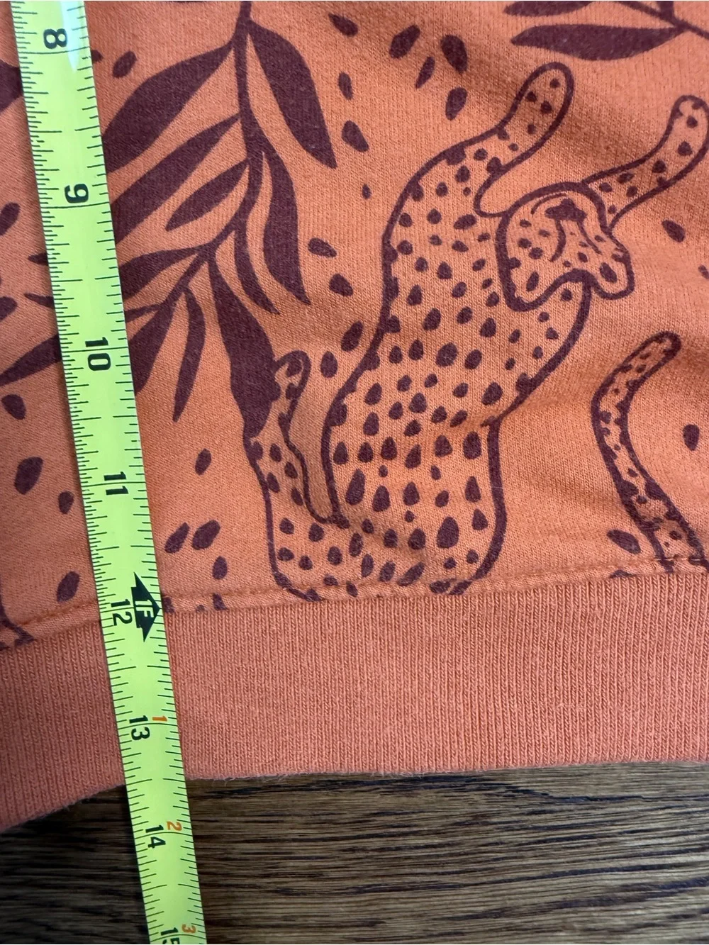 Cat & Jack x Danielle Peterson Kids Cheetah Print Sweatshirt/ Short Set 18 M
